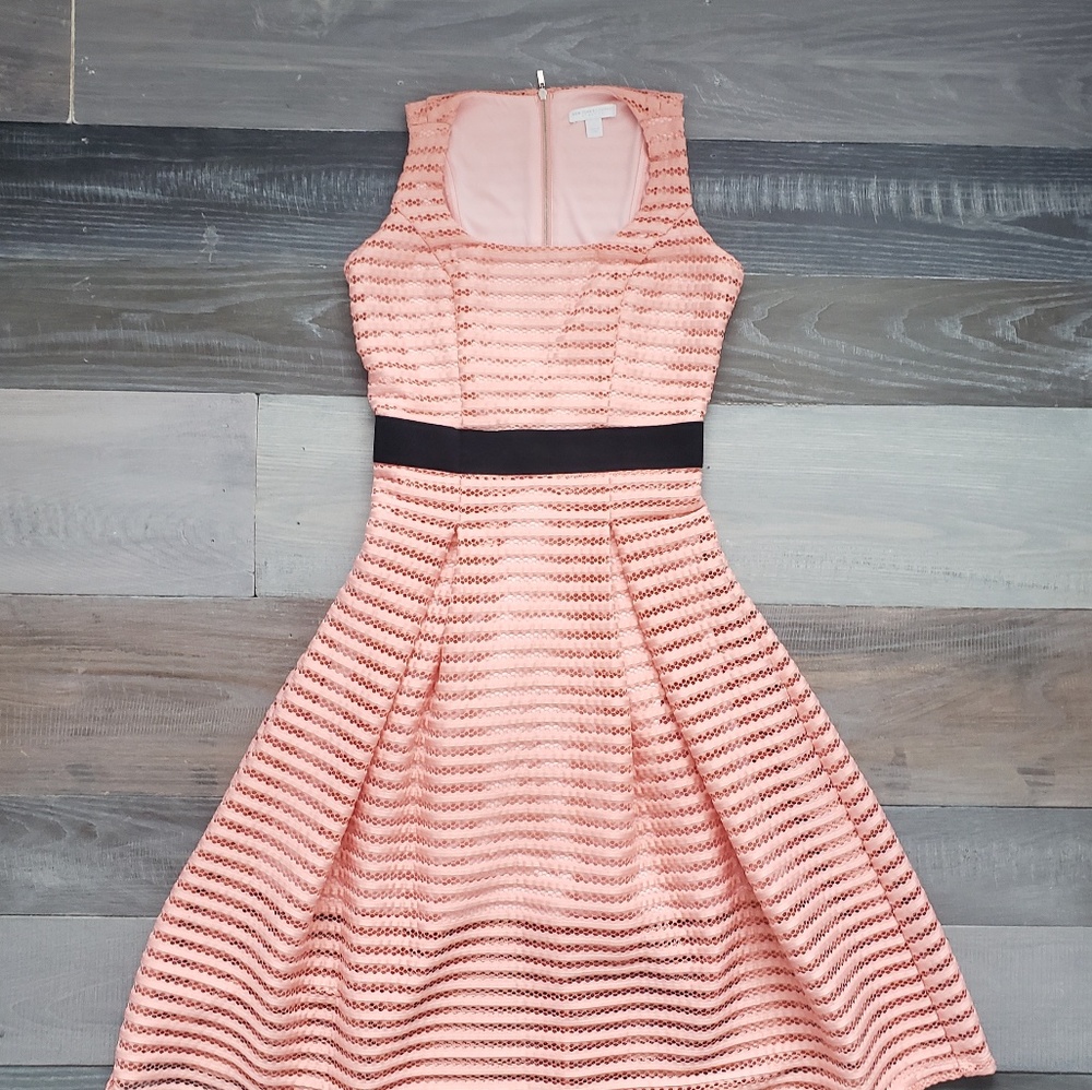New York& Company cocktail dress S
